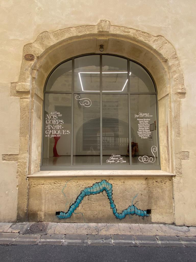 nos-corps-anarchiques-vitrine1
