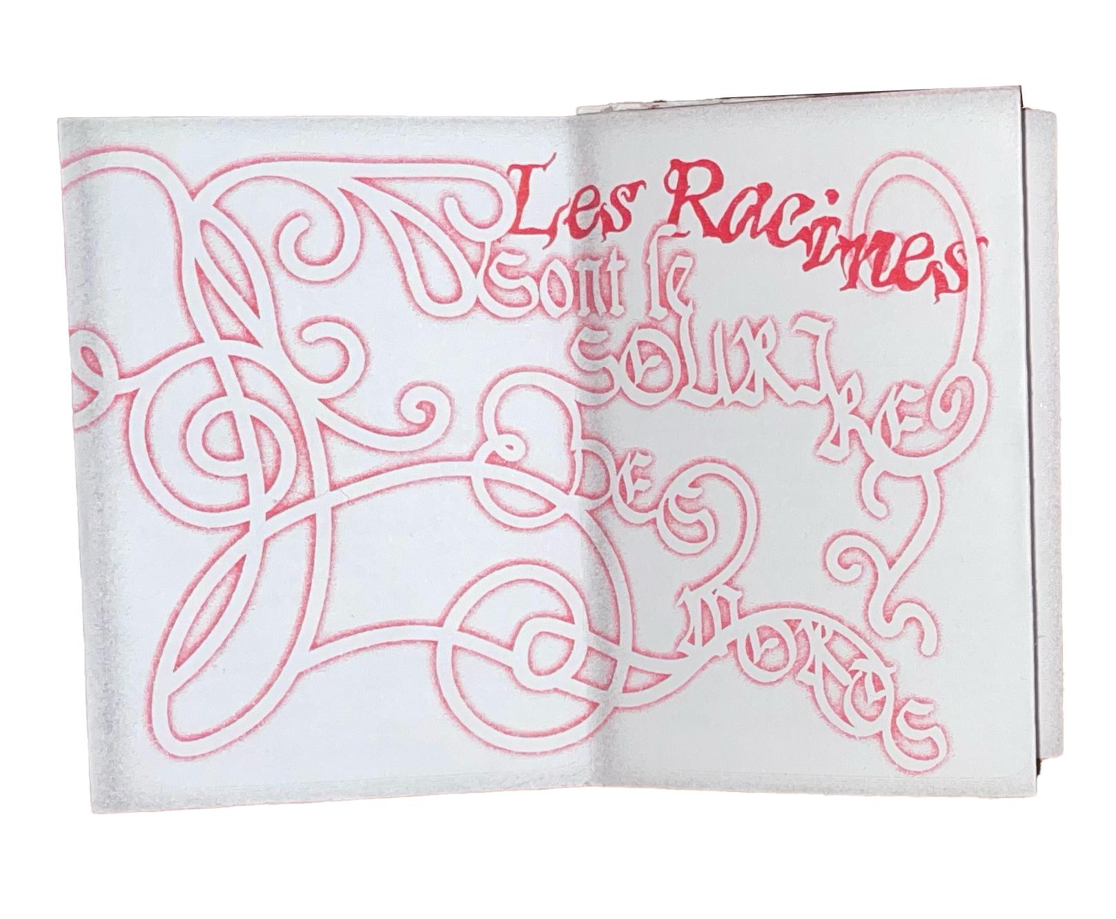 Cemetery flowers riso zine cover